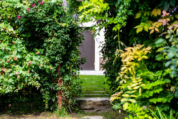 beautifully designed garden with a variety of flowers, trees and shrubs