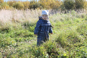 little child boy walking in the field in automn