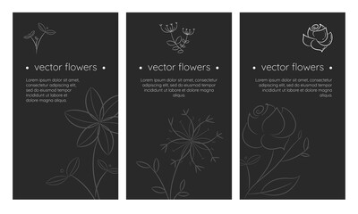 Elegant vector background for social media, banner, card with hand draw white flowers and leaves in linear style. Minimalism in nature