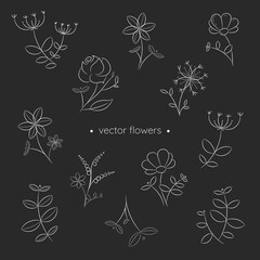 Hand drawn white flowers and leaves background. Black and white vector drawings in linear style. Minimalism in nature