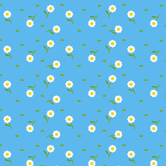 Chamomiles | Flowers Background Pattern | seamless background with flowers