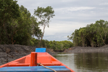 Fototapeta na wymiar Sailing in the mangrove forest