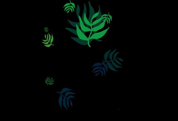 Fototapeta na wymiar Dark Green vector doodle backdrop with leaves.