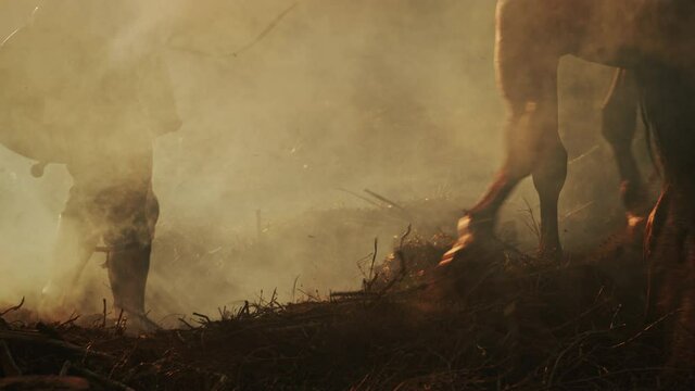 Medieval Knight Warrior Leading His Horse into the Battle to Fight. Ancient Hero in Plated Armor, Shield, Helmet and Sword and Thoroughbred Stallion. Cinematic War, Smoke, Action, Invasion, Conquest