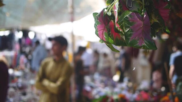 Person with folded arms at a market 