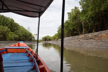 Sailing in the mangrove forest