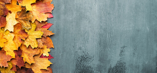 Autumn maple leaves on ancient texture. Falling leaves natural background. Seasonal background.