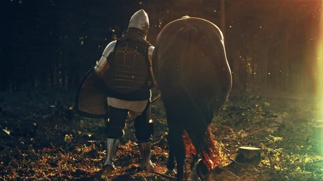 Medieval Knight Leading His Horse into the Battle to Fight. Warrior Plated Armor, Helmet, Sword and Thoroughbred Stallion. Cinematic Light Flare, War, Invasion, Conquest. Back Following Slow Motion
