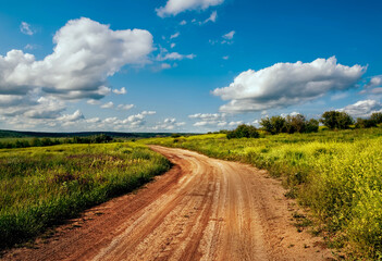 dirt road among green fields on a spring sunny day.
