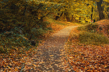Filevsky Park in autumn in Moscow. Russia