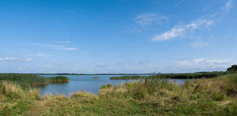 On the bank of the summer river