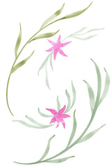 Decorative twigs and flowers in watercolor. Elements of floral design