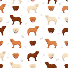 Bordeaux mastiff seamless pattern. Different coat colors and poses set