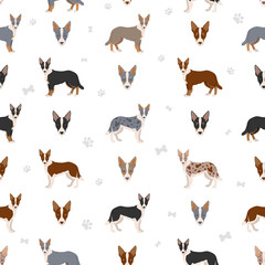 Smooth border collie seamless pattern. Different poses, coat colors set