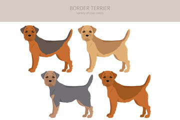 Border terrier clipart. Different coat colors and poses set