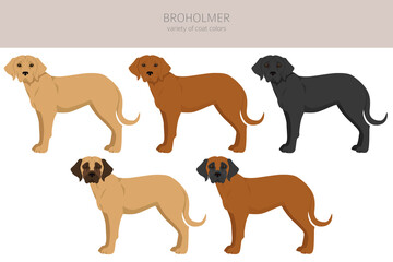 Broholmer clipart. Different coat colors and poses set