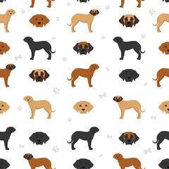 Broholmer seamless pattern. Different coat colors and poses set