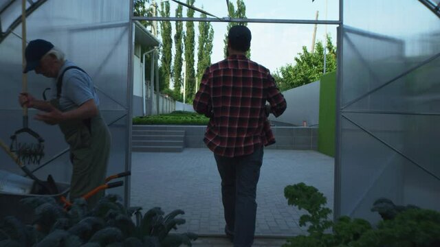 Anonymous farmer walking through hothouse
