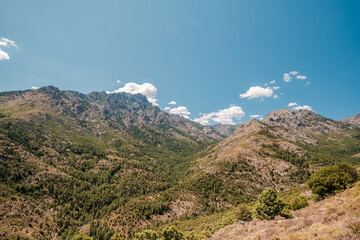 Fototapeta na wymiar Tartagine valley and mountains in Corsica