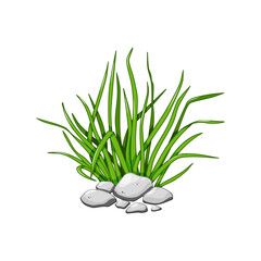 Green grass in the rocks. Cartoon vector illustration isolated on a white background