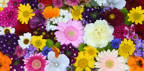 Flowers wall background with amazing red,orange,pink,purple,green and white field or wild flowers ,...