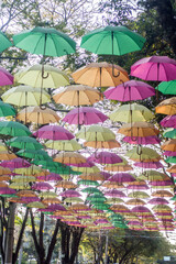 Fototapeta na wymiar many colorful umbrellas with trees around, holambra-sp, brasil-july 07.2021.