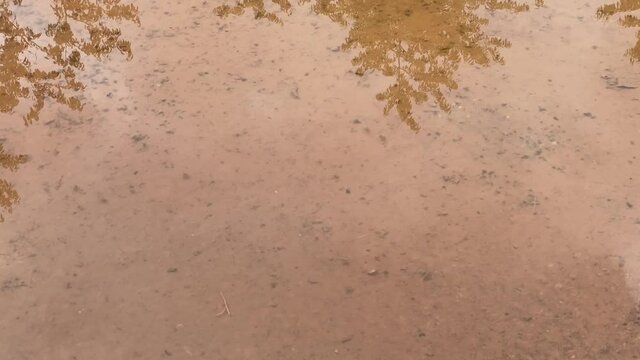 Der Schatten eines Basketballkorbs verschwindet in einer Pf&uuml;tze, auf sandigem Boden.