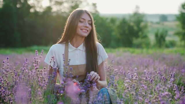 Front view of young female farmer chosing violet flowers, holding scissors in aromatic blooming lavender field. Radiant smiling woman with long hair collecting summer harvest outdoors, warm sunshine.