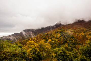 Autumn rainy day in La Garrotxa, Spain