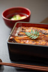 おいしいうな重