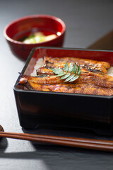 おいしいうな重