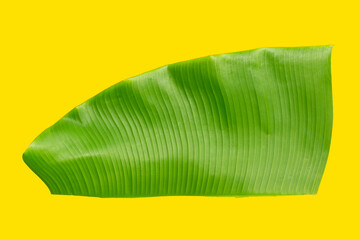 Tropical banana leaf on yellow background.