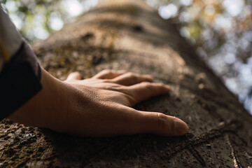 Human beings are concerned about nature and the environment- Hand touching a tree trunk in the forest.