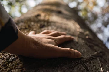Foto op Plexiglas Human beings are concerned about nature and the environment- Hand touching a tree trunk in the forest. © René Stevens