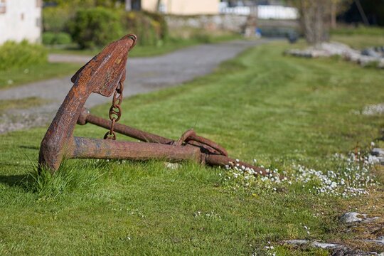 old rusty anchor on the grass