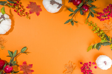 Autumn decoration background