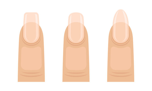 Female Finger with Nail Form and Shapes Vector Set