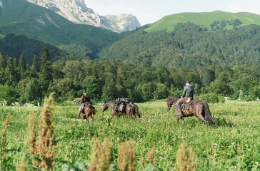Fototapeta na wymiar A group of riders on horseback in the field against