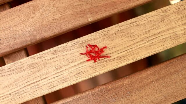 fisherman lays out red bloodworm artificial bait 