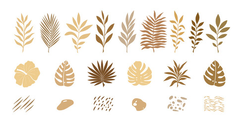 Vector illustration, set of abstract elements, tropical leaves, twigs, jungle for posters, banners, stories, postcards.