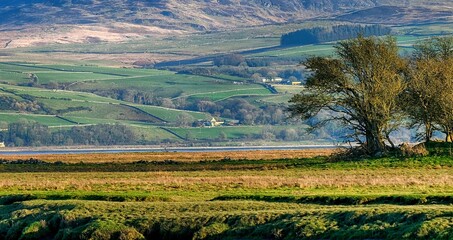 Obraz premium landscape with trees and hills