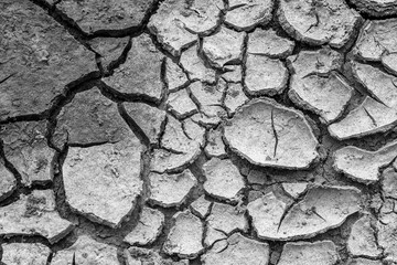 The cracked land texture in black and white tones