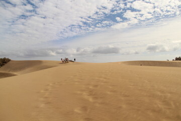 Fototapeta na wymiar Desert dunes at the beach of Canary Islands