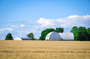 Barn in the field in a sunny day