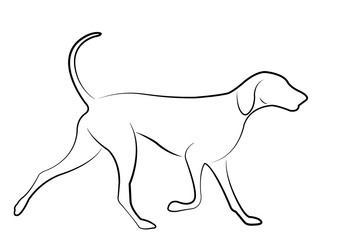 hound dog line art - vector