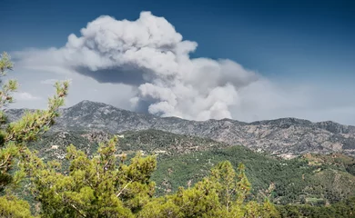 Schilderijen op glas Enorme rook van een bosbrand over de verre bergen met pijnbomen op de voorgrond. De dodelijke bosbrand van Aradippou op 3 juli 2021 was een van de ergste in de geschiedenis van Cyprus © ChaoticDesignStudio