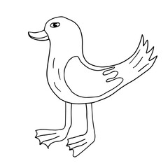 Cartoon doodle linear duck isolated on white background. Cute sketch of a bird.