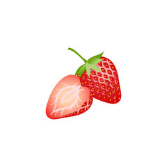 Stawberry(Fragaria) red summer fruit, white background. Vector graphic illustration. Vegetarian cafe print, poster, card. Natural, organic dessert sweet, fresh berry