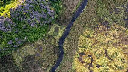 Van Long Natural Reserve in Ninh Binh, Vietnam.