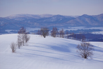 雪で木々が埋まった真っ白な丘の向こうに雪山が見える